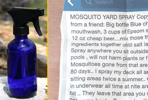 How To Make Your Own 3-Ingredient Mosquito Yard Spray That Really Works!