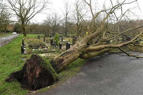 UK storm damage: Manchester, London, Wales hit by 70mph winds - pictures | Weather | News ...