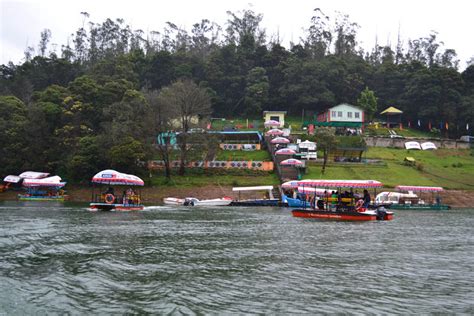 Doddabetta Peak, Ooty - Entry Fee, Visit Timings, Things To Do & More...