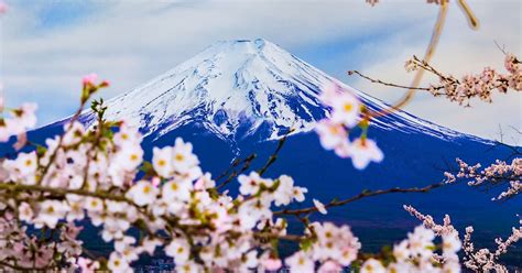 Eat Local in Yamanashi Prefecture