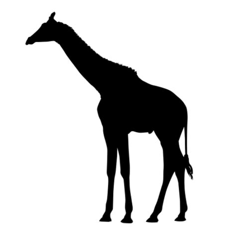 Full-size GIRAFFE SILHOUETTES (Safari Animal Wall Decor) Giraffe Silhouette Decals...