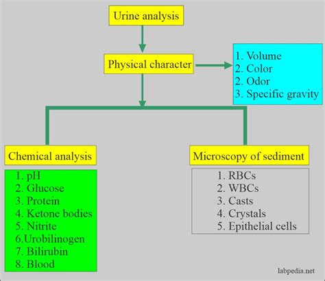 Normal Urine Analysis