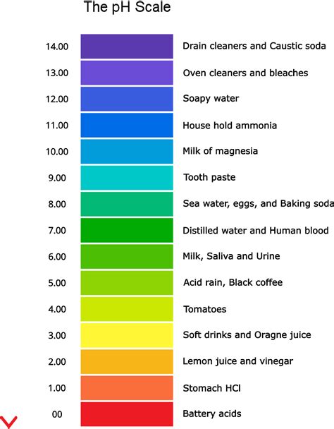 The pH Scale of Acid and Bases - PSIBERG