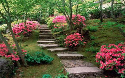 Zen Garden Wallpaper (45+ images)