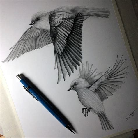 Birds Flying - Drawing Study by LethalChris on DeviantArt