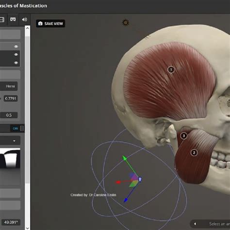 (PDF) Interactive 3D Digital Models for Anatomy and Medical Education