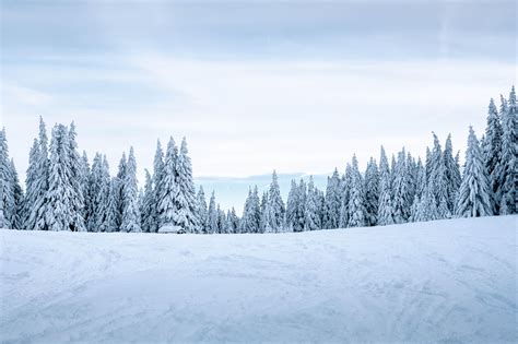 Winter Snow Landscape Wallpapers - Top Free Winter Snow Landscape Backgrounds - WallpaperAccess