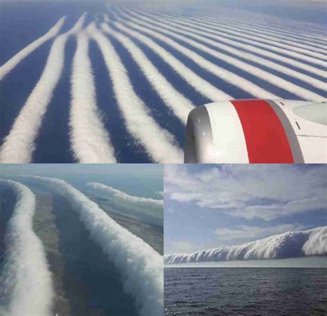 Morning Glory Cloud: A Unique Meteorological Phenomenon | Araniea