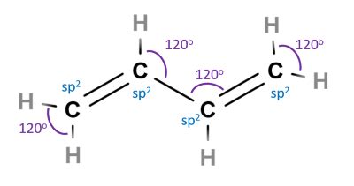 a) Draw the structure of 1,3-butadiene. Label the hybridization of each carbon and bond angles ...