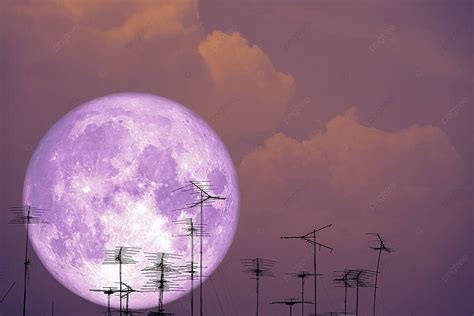 Silhouette Antenna Against Full Sap Moon In Night Sky Photo Background And Picture For Free ...