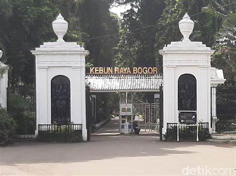 Berita dan Informasi Cara ke kebun raya bogor dari jakarta Terkini dan Terbaru Hari ini - detikcom