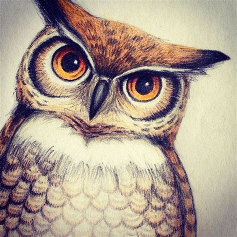 owl color sketch by Leelilly on DeviantArt