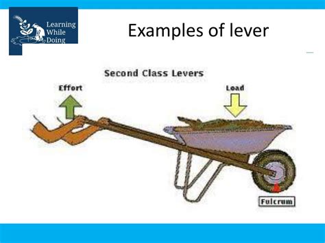 PPT - Examples of lever PowerPoint Presentation, free download - ID:2713022