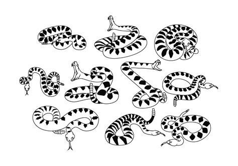 Free Rattlesnake Vector 129701 Vector Art at Vecteezy