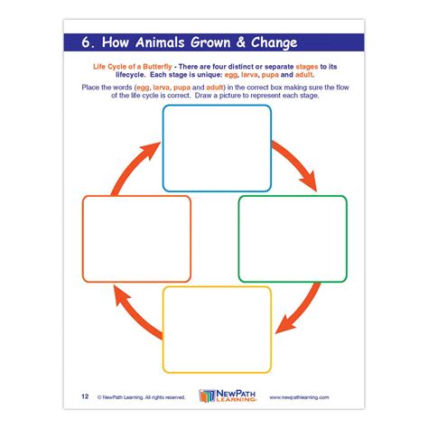 Grade 3 Science Graphic Organizer - Science Supplies, Resources & Books ...