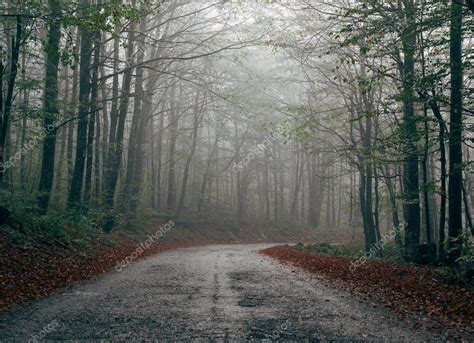 Abandoned road through forest Stock Photo by ©loriklaszlo 126943098