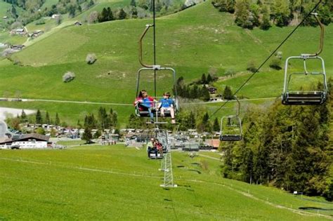 11 Best Mountain Coasters In Switzerland