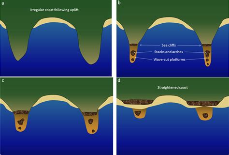 17.2 Landforms of Coastal Erosion – Physical Geology