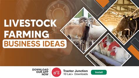 Top 10 Most Profitable Livestock Farming Business Plan in India 2024