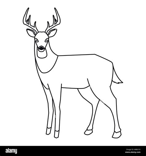 deer wildlife happy autumn season outline design vector illustration Stock Vector Image & Art ...