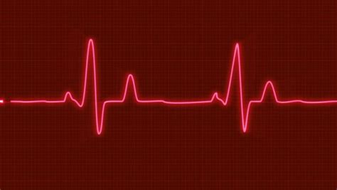 Ecg Animation Download - Videohive , After Effects,Pro Video Motion