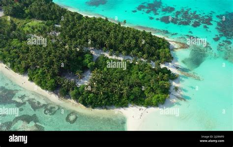 An aerial view of sandy beach with trees Stock Photo - Alamy