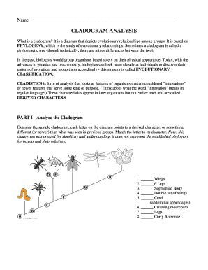 Cladogram Worksheet - Fill Online, Printable, Fillable, Blank | pdfFiller