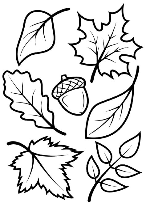 Fall Coloring Pages for Kids and Adults | 101 Activity