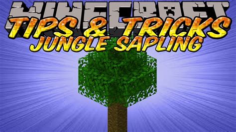 Minecraft Tips and Tricks - Jungle Saplings Duplication - BIG Jungle Trees - YouTube