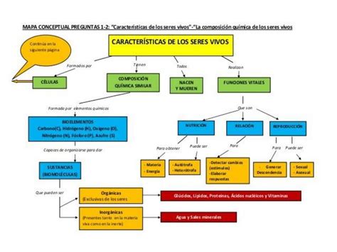 Mapa conceptual de las características de los seres vivos | uDocz