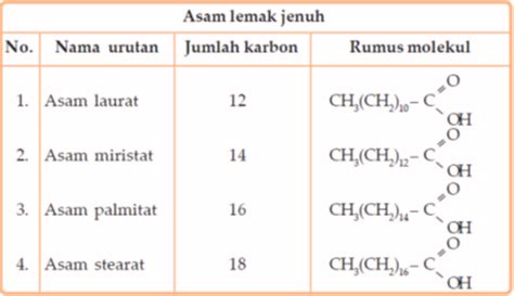 Lemak Jenuh Dan Tak Jenuh – newstempo