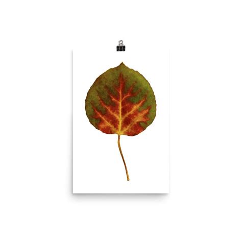 Aspen Leaf Art Print Aspen Leaf Poster Fall Poster Fall - Etsy