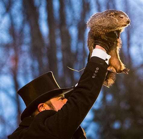 Groundhog Day: A Tradition of Top Hats, Marmots, and Shadows