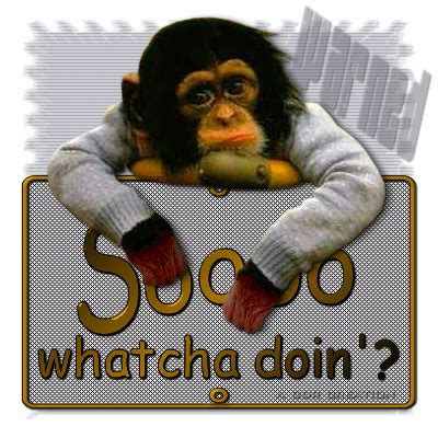 Whatcha doin? :: Hello! :: MyNiceProfile.com