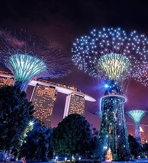 Marina Bay Singapore Sky Gardens