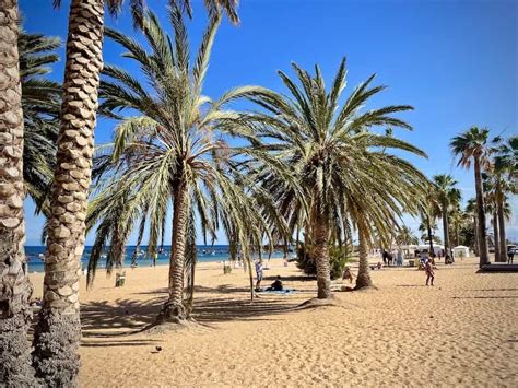 14 Epic Shore Excursions in Tenerife You Can't Miss (P&O Cruises 2024) - The Wanderlust Within