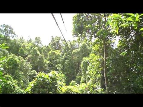 Zip Lining Adventures on Fiji Flying Fox! | The Travel Tart Blog