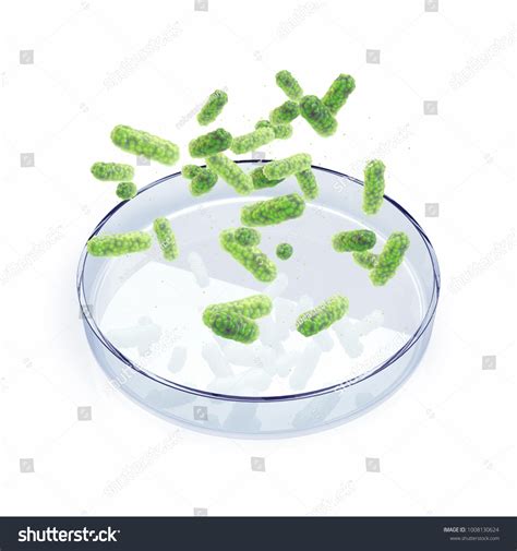 Bacteria Over Petri Dish On White Stock Illustration 1008130624 ...