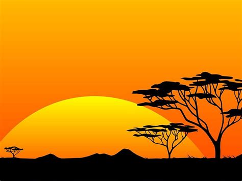 Orange sunset, silhouette, abstract, orange, vector, HD wallpaper | Peakpx