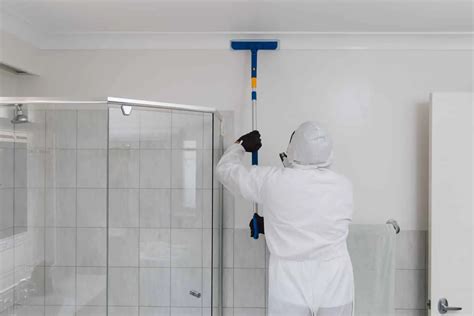 Australia's Trusted Mould Removal Specialists - Free Inspection & Quote