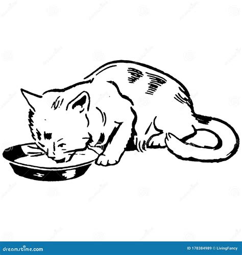 Vintage Clipart 263 Cat or Kitten Drinking Milk Stock Illustration ...