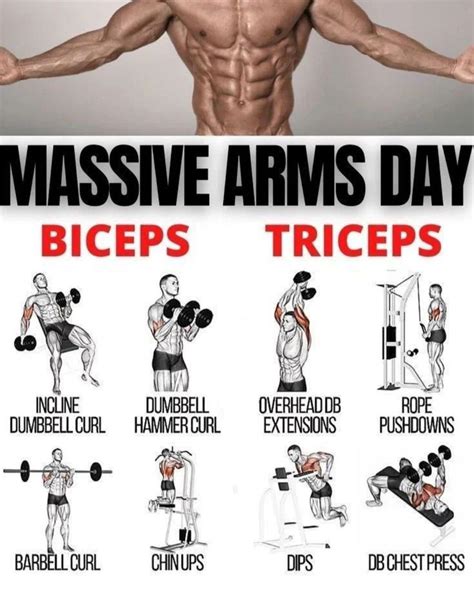 Arms Exercise At Gym | Bicep and tricep workout, Triceps workout, Workout plan gym