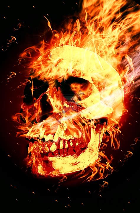 Burning Skull Wallpapers - Wallpaper Cave