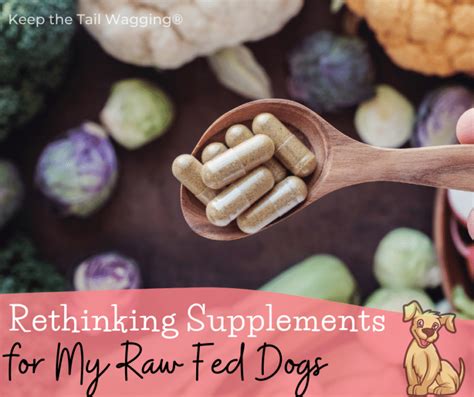 Rethinking Supplements for My Raw Fed Dogs