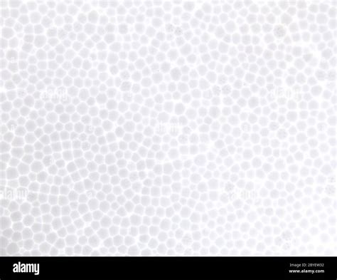 foam texture background Stock Photo - Alamy