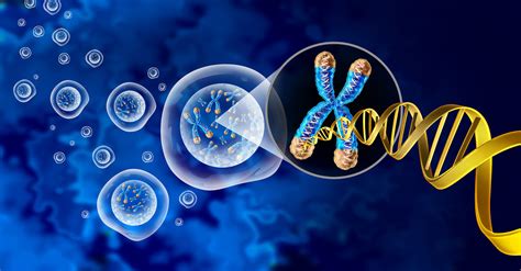 Nature sceptical of polygenic embryo tests - BioEdge