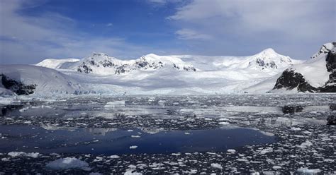 Antarctica turning green as climate change takes hold