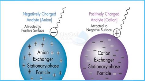 What are ion exchange resins? And Different types of ion exchange resins