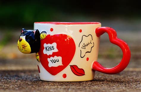 Coffee cup,funny,cat,heart,love - free image from needpix.com