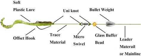 How To Setup A Carolina Rig? Setup Guide & Tips - Bass N Edge - Bass ...